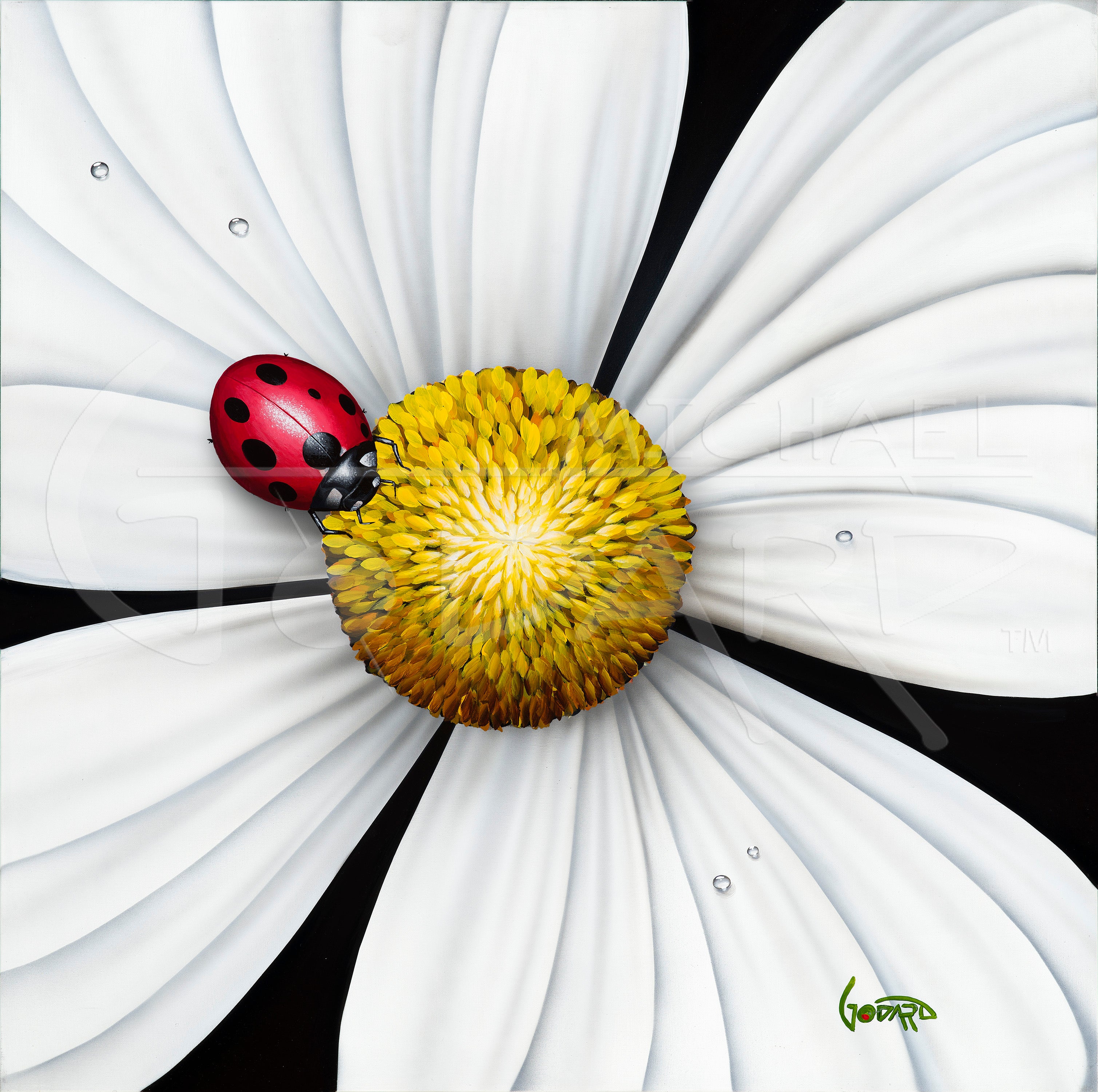 White Flower Ladybug – Olive Vegas Gallery